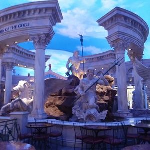 Meet your Posher, Terri